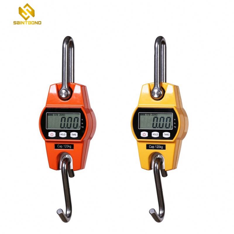 CS-A Scale For Weighing Fish , Weight Scale Portable