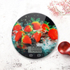 PKS006 5kg Digital Kitchen Scale Nutrient Indicator With Hole To Hang Platform Electronic Kitchen Scale