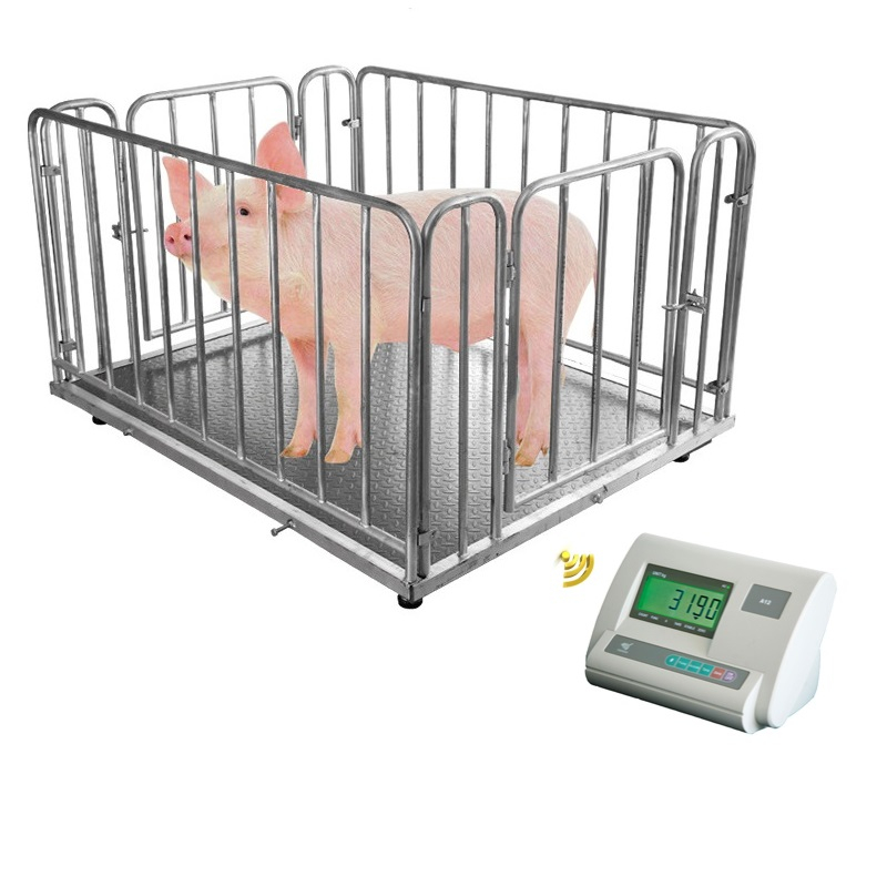 Livestock Bluetooth Wireless Scale Mobile Platform Animal Scale