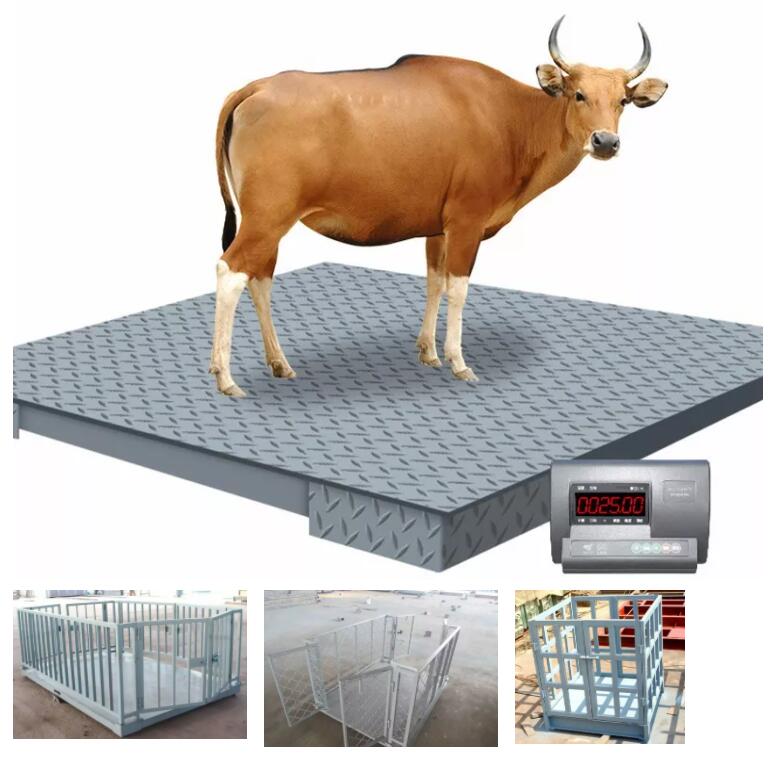 Animal Farm Livestock Scales Animal Scales for Horse