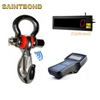 China Manufacture Weight Industrial Electronic Hook 50t Hanging Fishing Scale