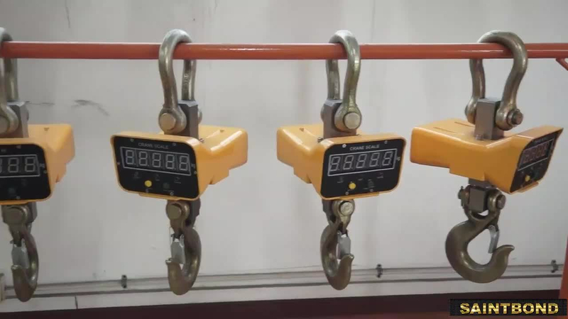 Electronic Manual Sale Scales For Digital Crane Scale