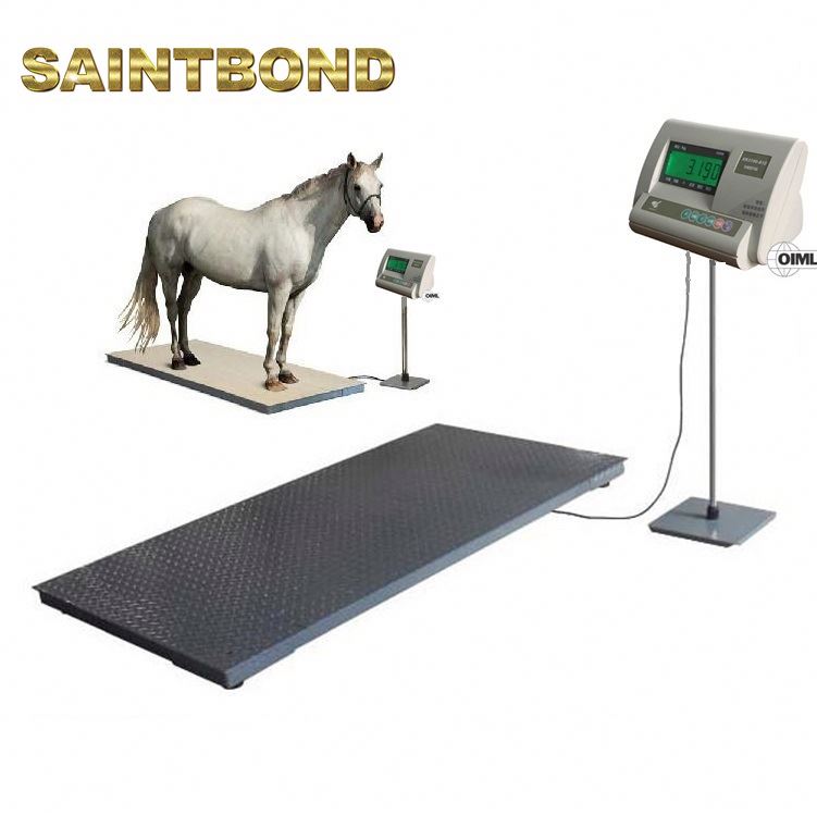 Veterinary Floor Stationary & Weighing Fish Portable Horse Livestock Scale Animal Scales for Pig