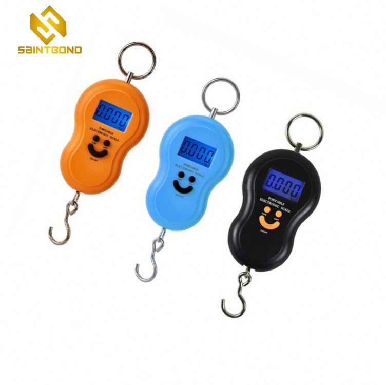 OCS-1 Mini Spring Scale Spring Balance Portable Hanging Luggage Scale
