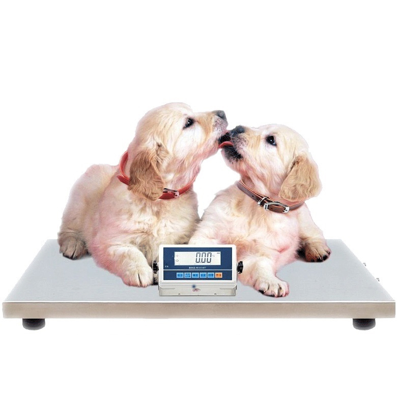 Animal Scales Portable Vet & Zoo Weighing Scales Animal Scales for Sale