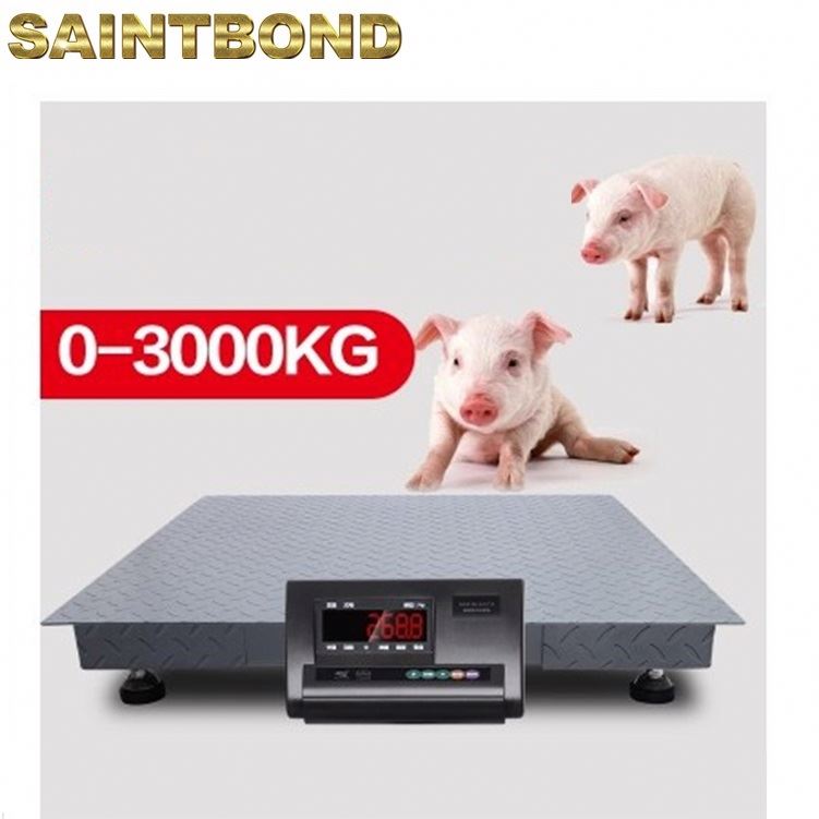 Bathroom 10000 Lb 2000kg Industrial Platform Scale 500lbs Floor Scales Digital Weight