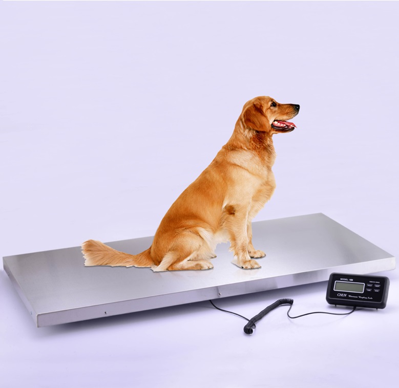 Animal Scales Portable Vet & Zoo Weighing Scales Animal Scales for Sale