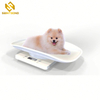 K13 10 Kg Pet Scale for The Breeders To Use for New Born Puppies until 10 Weeks of Age