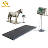 Paul Scales Animal Manufacturers Portable Livestock Suppliers Sheep And Goat Weighing Cow Scale