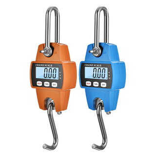 Manual Portable 100kg 150kg 300kg Weight Small Hang Crane Scale Digital