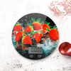 PKS006 Best Sale Manual Electronic Kitchen Scale With Ce